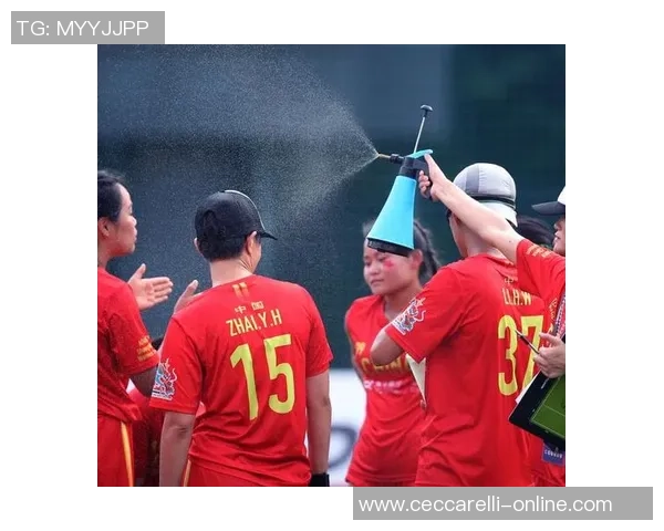 武汉飞盘队反击战术深度分析与实战应用探讨